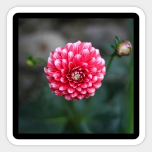 flower Sticker